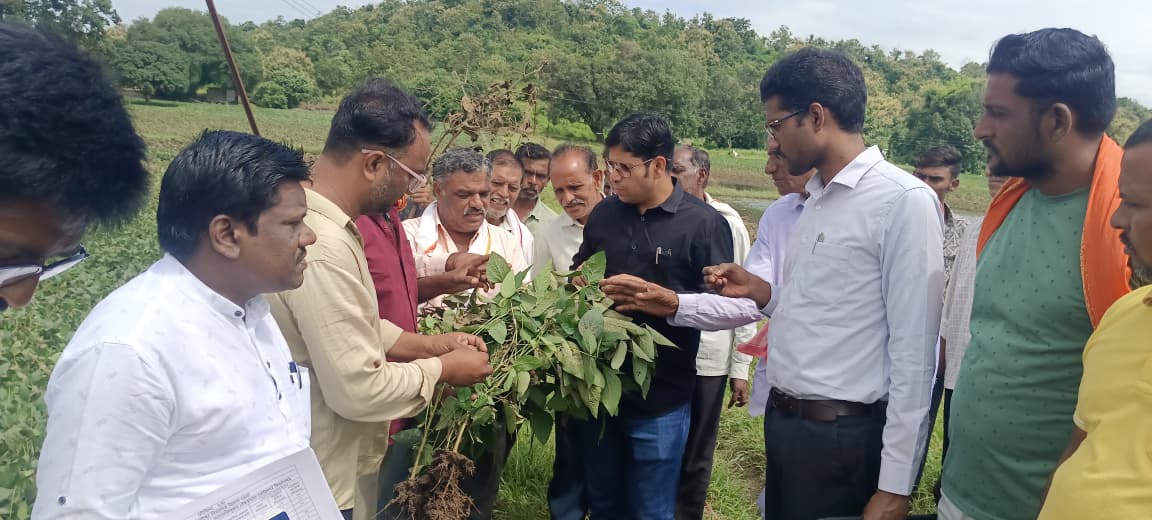 जिल्हाधिकाऱ्यांनी किनवट तालुक्यातील गावांमध्ये भेट देवून पीक नुकसानीची केली पाहणी