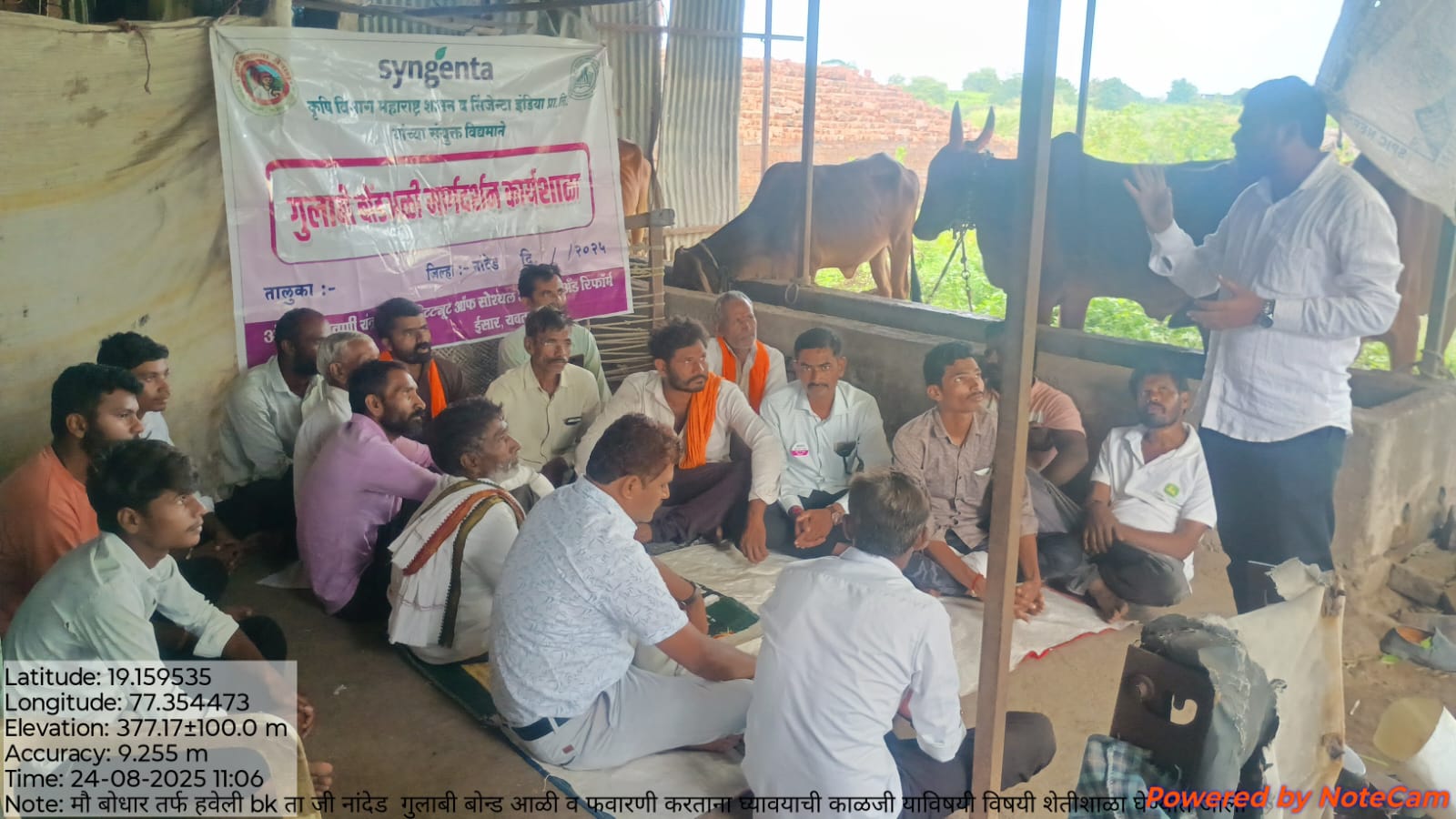गुलाबी बोंडआळीचा प्रादुर्भाव रोखण्यासाठी जनजागृती मोहीम 