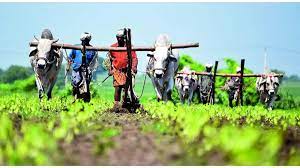 शेतकऱ्यांनी कृषि समृद्धि योजनेतील विविध घटकांसाठी  अर्ज करावेत-  जिल्हा अधिक्षक कृ‍षी अधिकारी