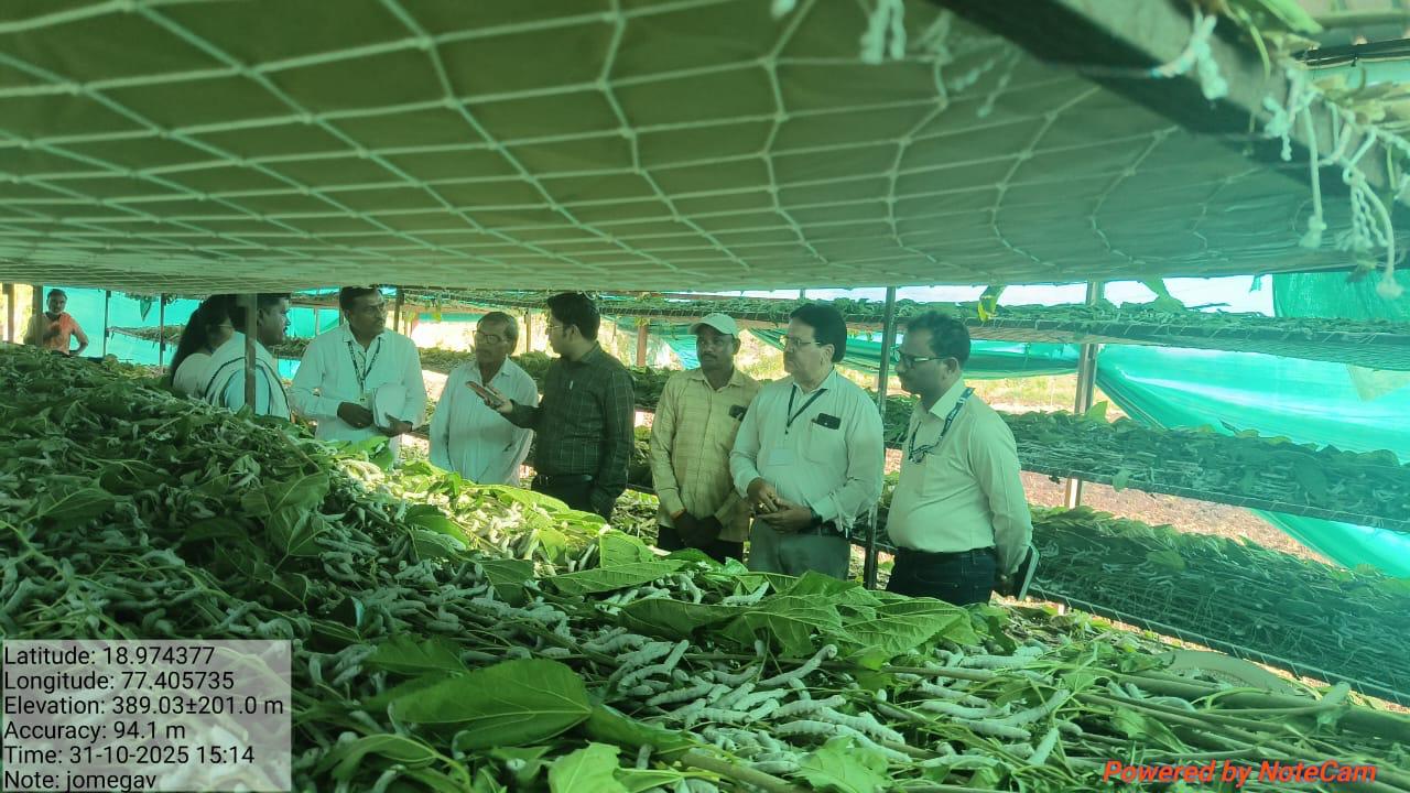 रेशीम शेतीतून ग्रामीण भागात स्थिर उत्पन्न व रोजगार – जिल्हाधिकारी राहुल कर्डिले