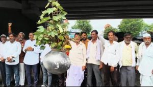 शेतकरी पुत्रांनी फोडली दुष्काळी दहीहंडी