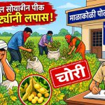 लोहा तालुक्यात शेतातील सोयाबीन पीक चोरीला; दोन लाखांचा मुद्देमाल लंपास