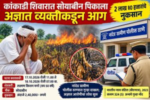 कांंकाडी शिवारात सोयाबीन पिकाला अज्ञात व्यक्तीकडून आग; २ लाख ४० हजारांचे नुकसान